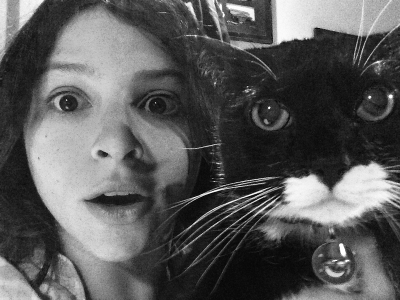 Illustration for article titled Real American Kitty: The Epic Journey of Bishface Bobby